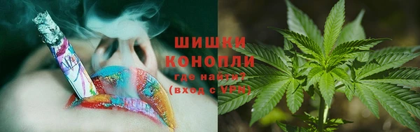 ГАЛЛЮЦИНОГЕННЫЕ ГРИБЫ Балабаново
