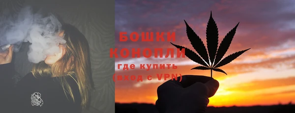 ГАЛЛЮЦИНОГЕННЫЕ ГРИБЫ Балабаново
