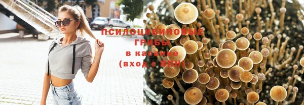 марки nbome Армянск